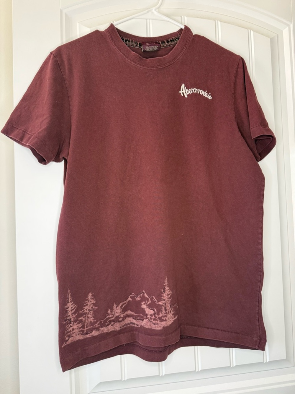 Abercrombie & Fitch Men's Nature Maroon Short-Sleeve Graphic Tee